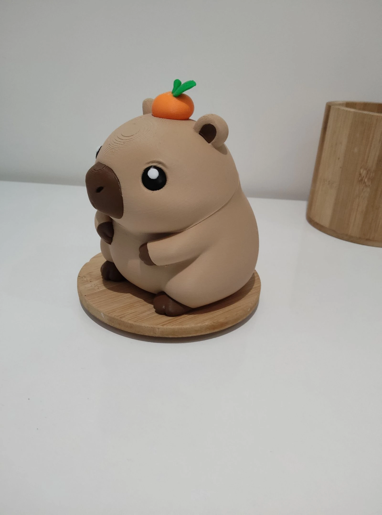 Capybara – photo 2